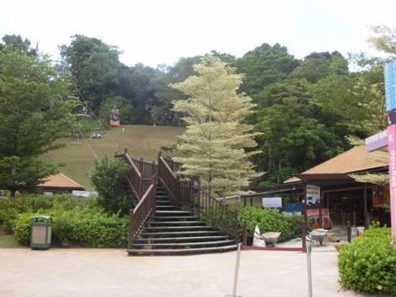 SDC11739.JPG